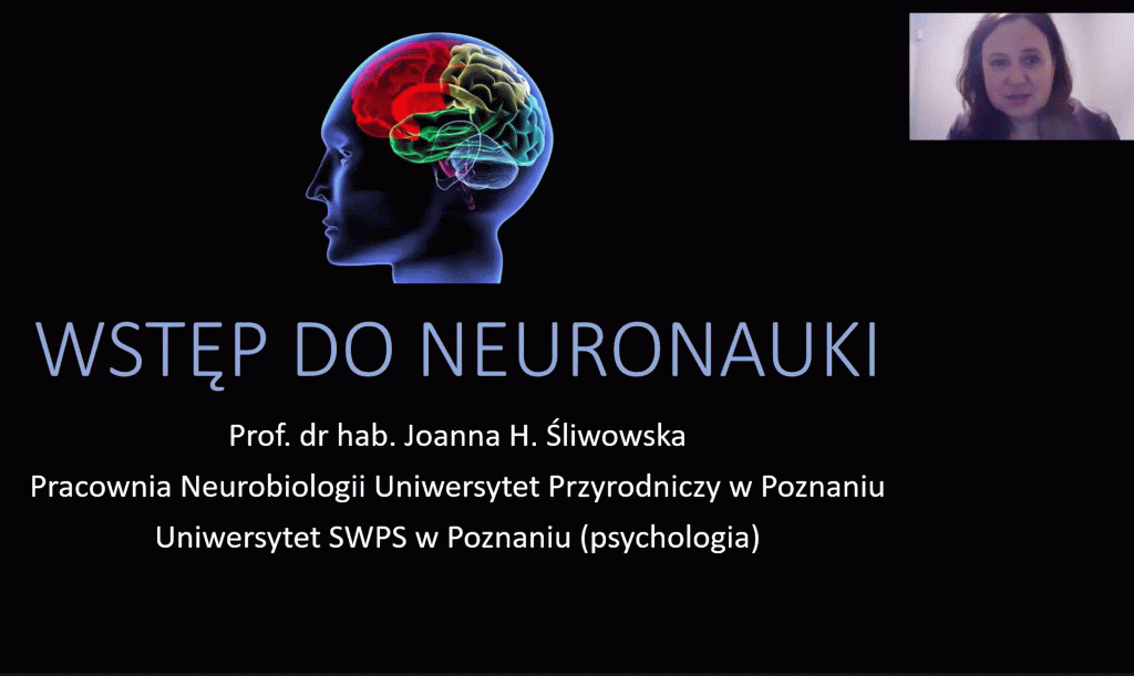 Wykłady online z prof. Joanną Śliwowską WSTĘP DO NEURONAUKI: 28.11.2025 „Podstawy neurobiologii”, 16.01.2026 „Związek mózg-zachowanie-neurogenetyka”